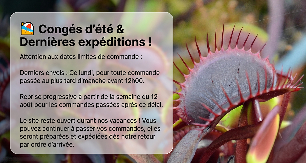 Informations sur les livraisons pendant nos vacances d'été.